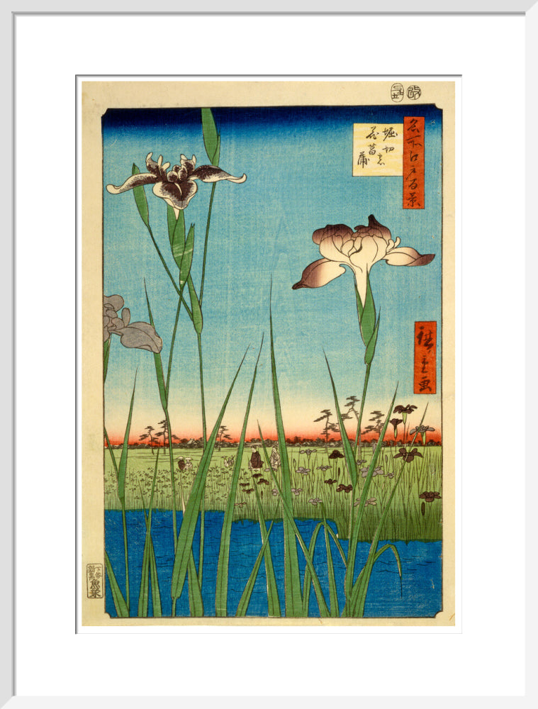 Iris Garden at Horikiri - Art print