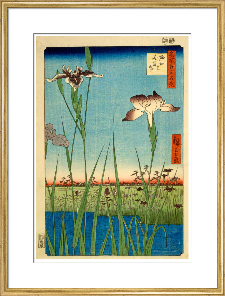 Iris Garden at Horikiri - Art print