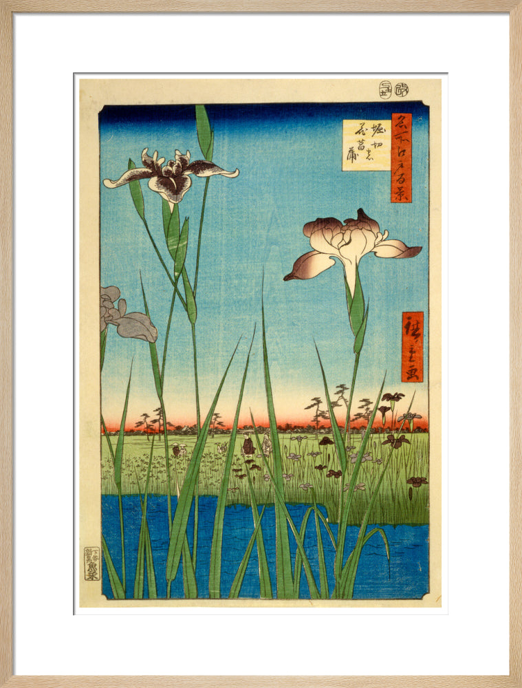Iris Garden at Horikiri - Art print