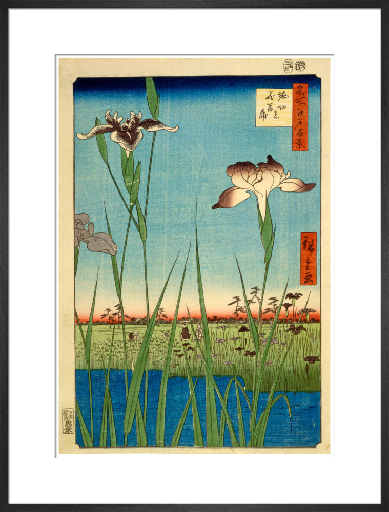 Iris Garden at Horikiri - Art print