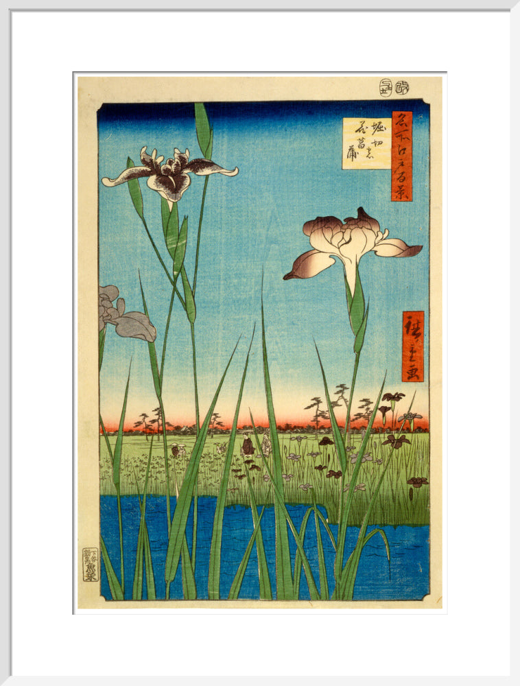 Iris Garden at Horikiri - Art print