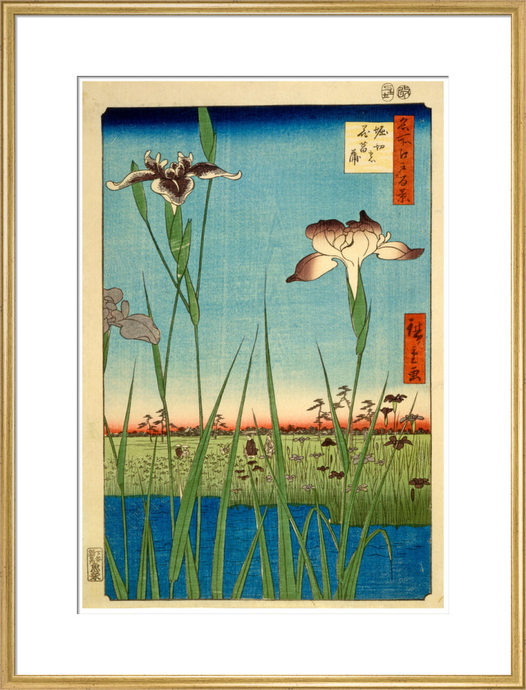 Iris Garden at Horikiri - Art print