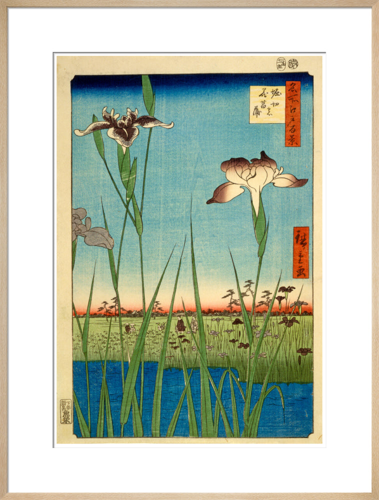 Iris Garden at Horikiri - Art print