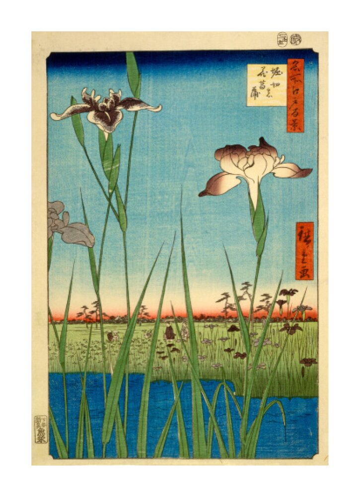 Iris Garden at Horikiri - Art print
