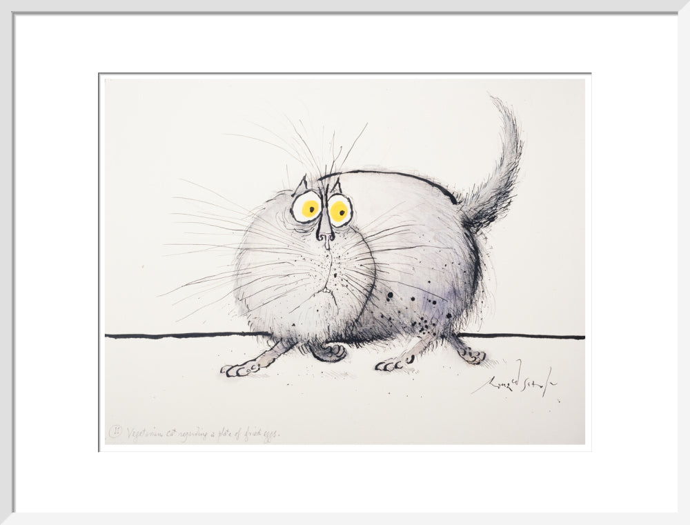 Vegetarian Cat Regarding a Plate of Fried Eggs - Art print