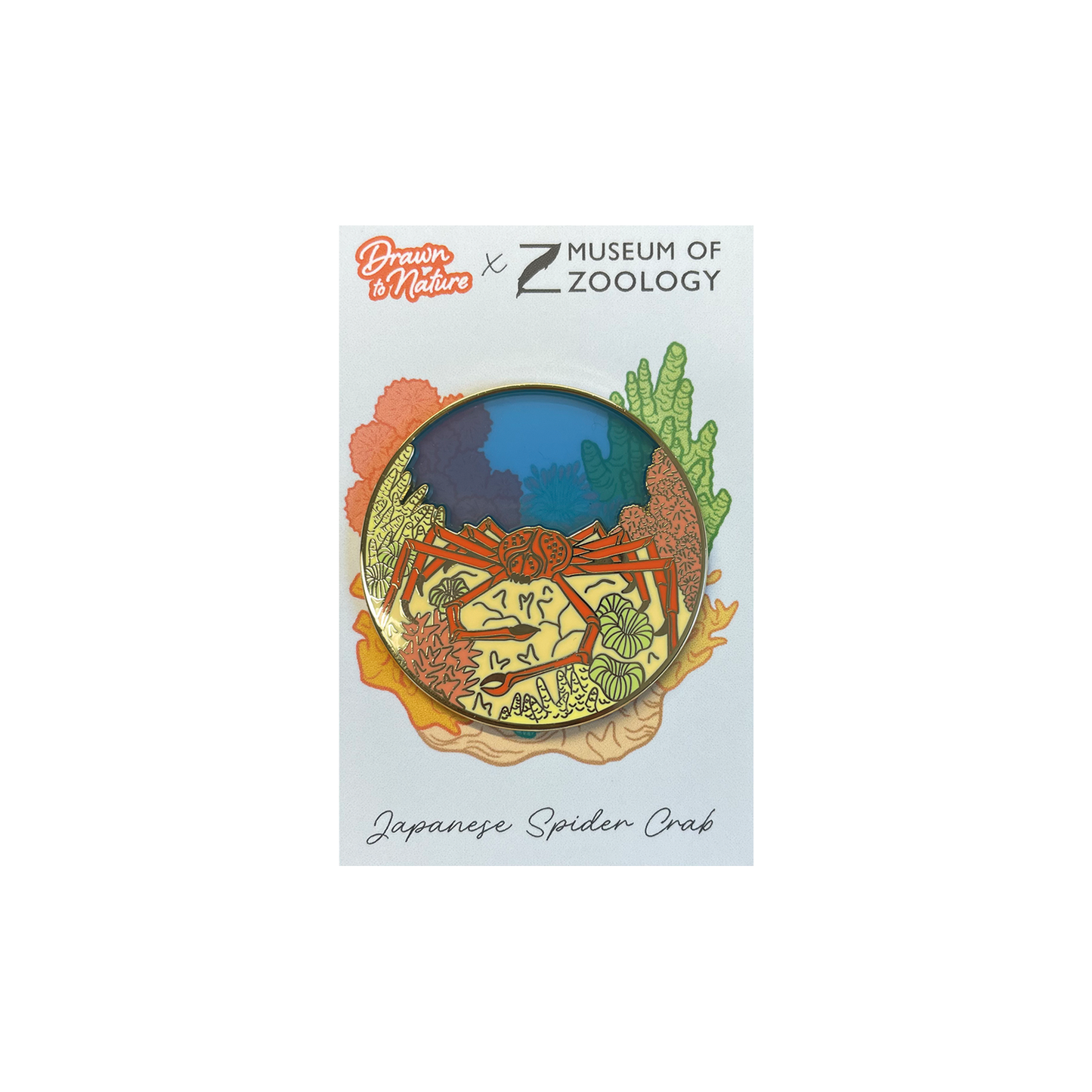 Japanese Spider Crab - Brooch