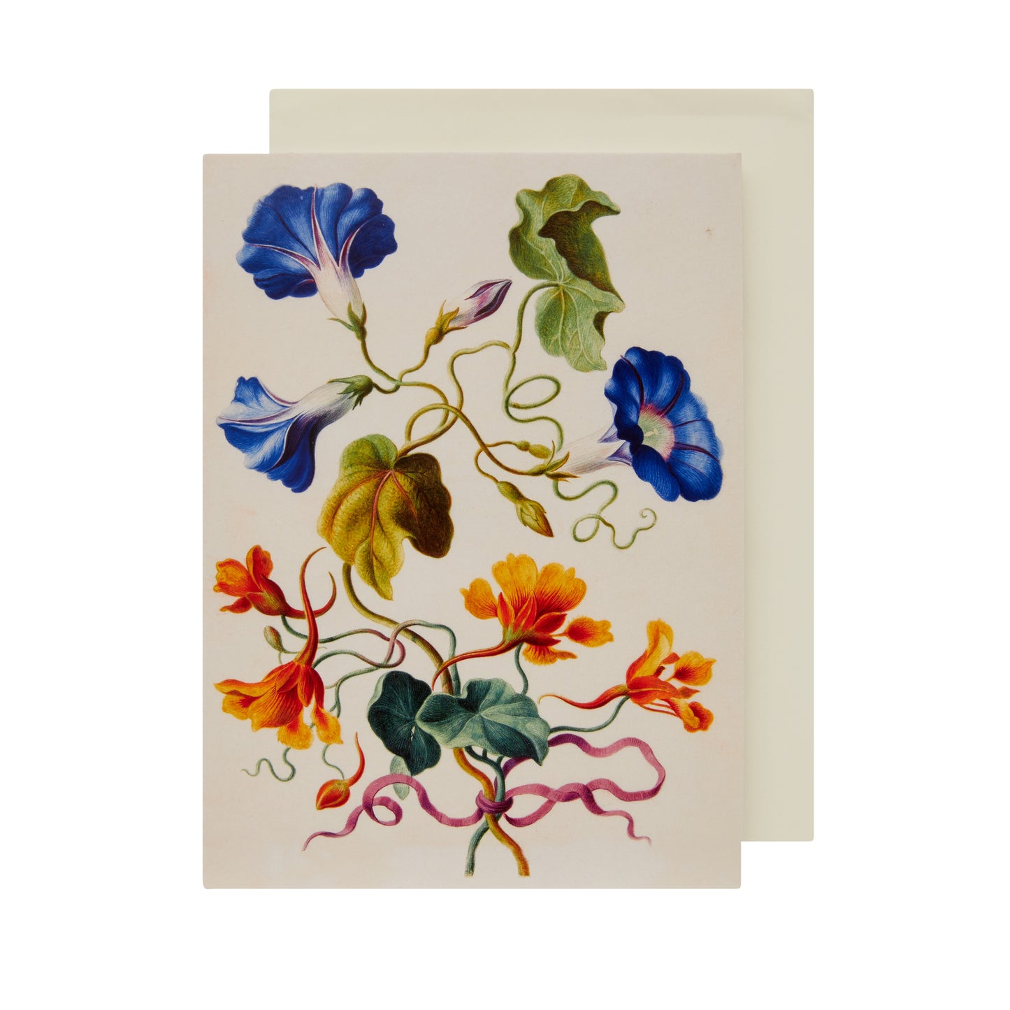 Morning Glory - Greeting card