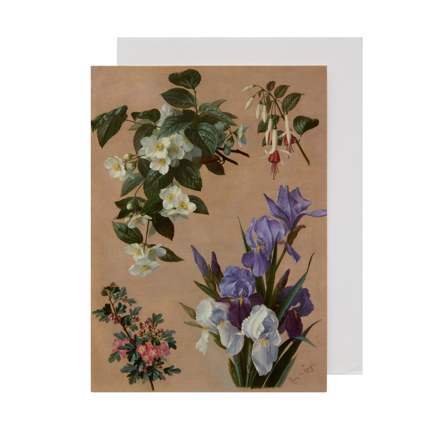 Card de Longpre Hawthorn