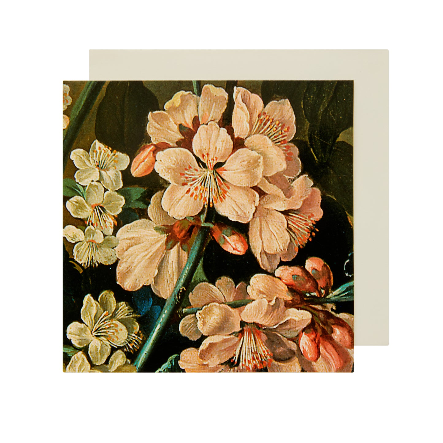 Dutch Flowers - Greeting Card