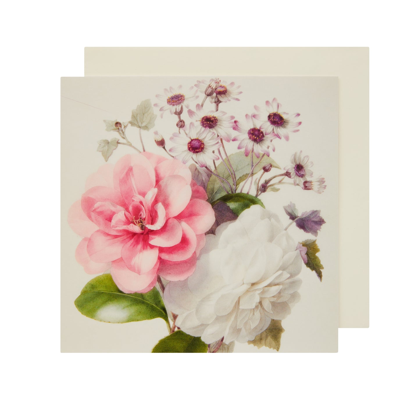 Two Camellia - Greeting Card