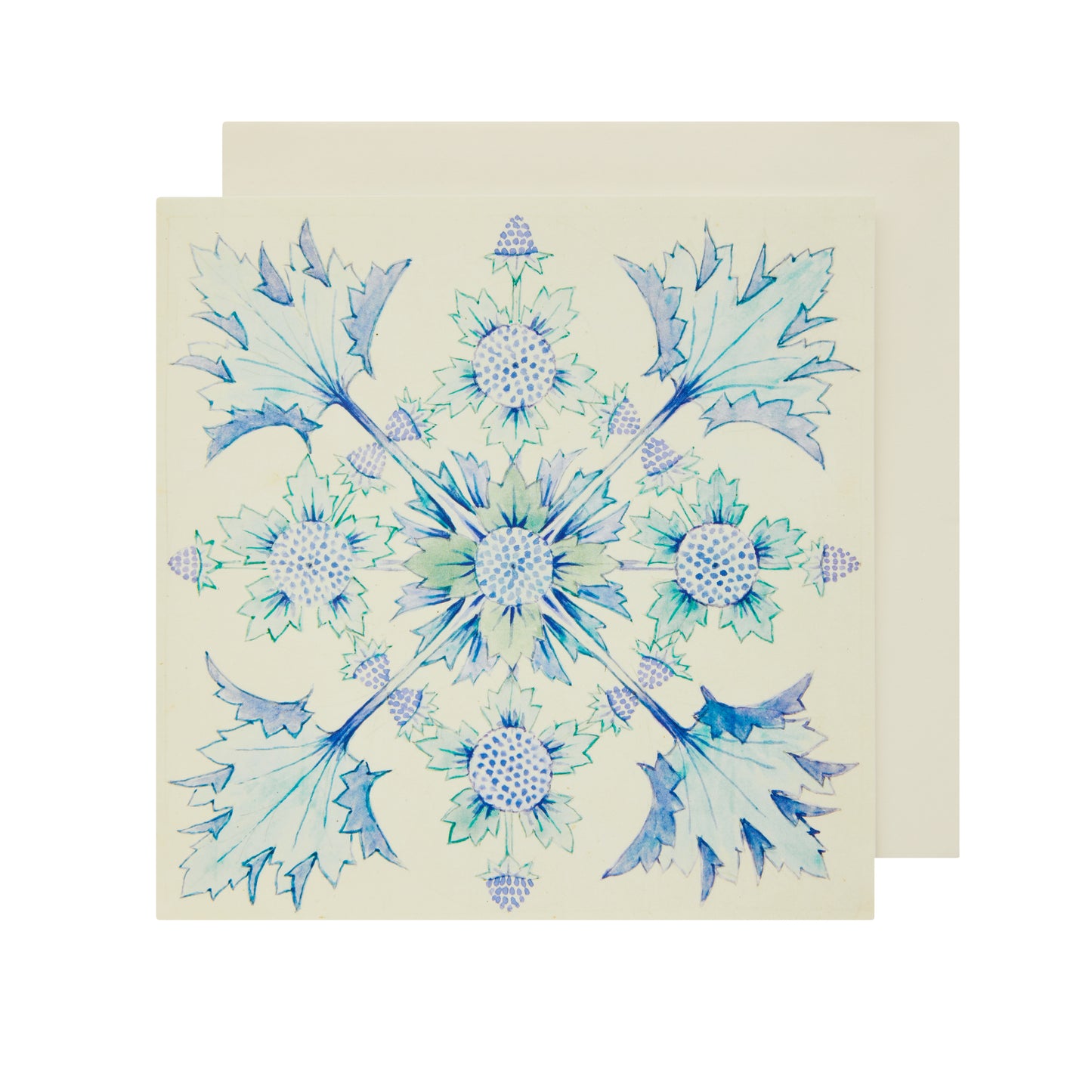 Clarence Bicknell: Sea Holly - Greeting Card