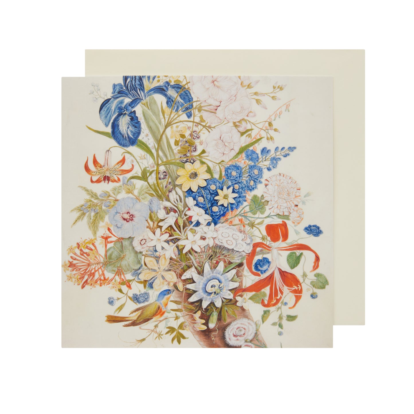 Cornucopia with a songbird - Greetings Card