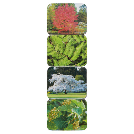 Botanic Garden Trees - Magnet set
