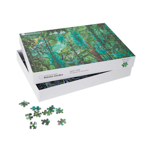 Jade Vine - 1000 pc jigsaw puzzle