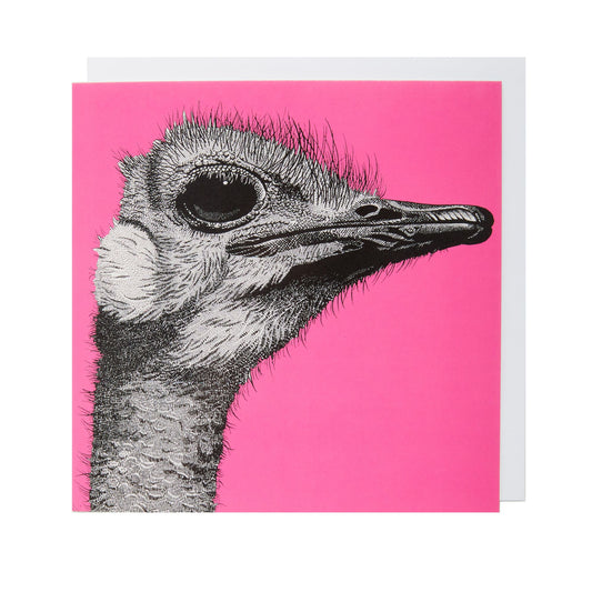 Ostrich - Greeting Card