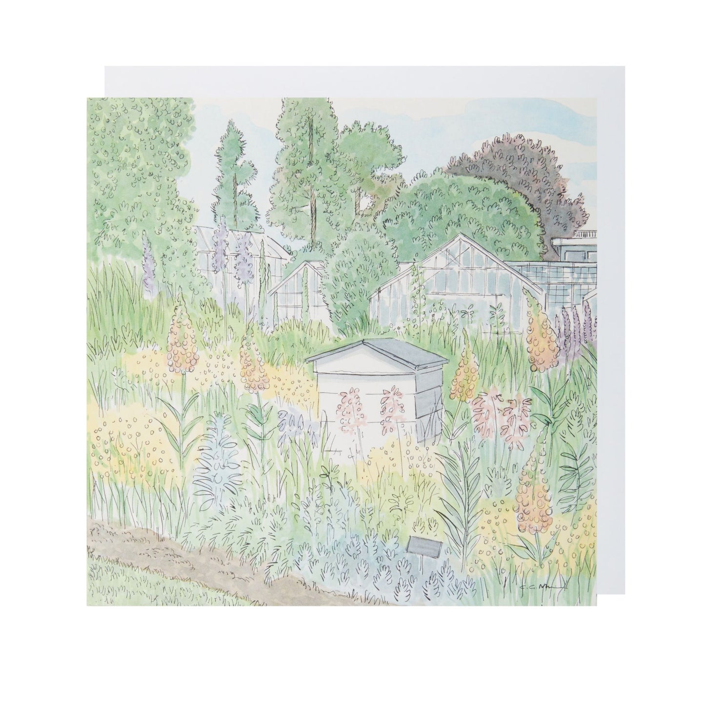 Glasshouses illustration - Greeting card