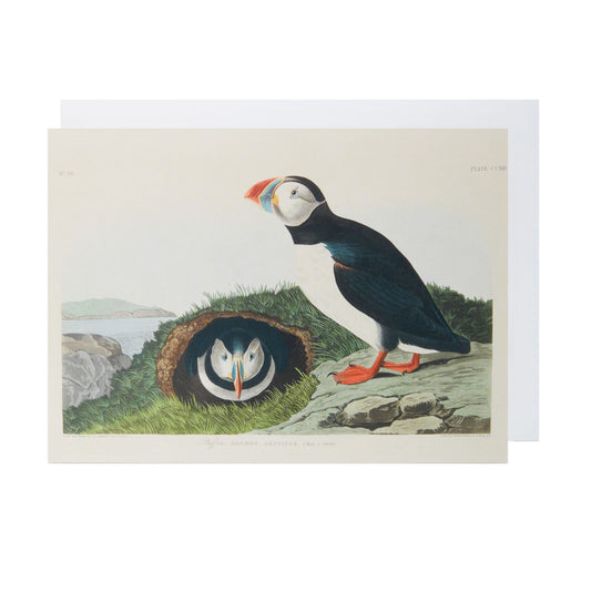 A greeting card featuring a colorful illustration of a puffin and its nest on a rock, with a clear sky in the background. By John James Audubon, from Birds of America.