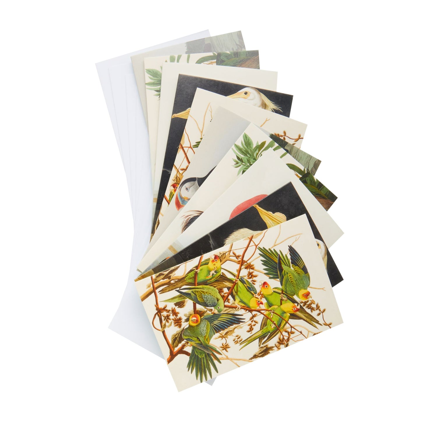 Audubon's Birds of America - Notecard pack