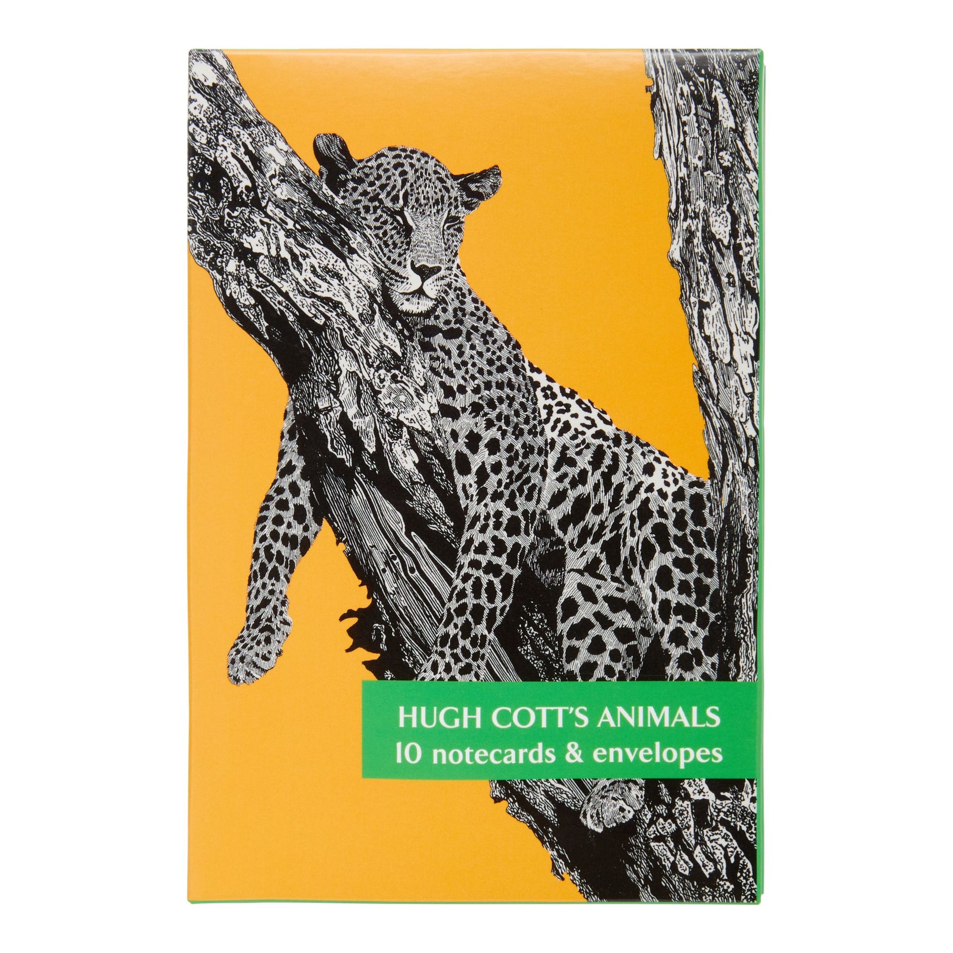 A notecard pack featuring an illustration of a leopard sitting on a tree branch with a yellow background. The pack is titled 'Hugh Cott's Animals'.