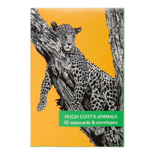 A notecard pack featuring an illustration of a leopard sitting on a tree branch with a yellow background. The pack is titled 'Hugh Cott's Animals'.