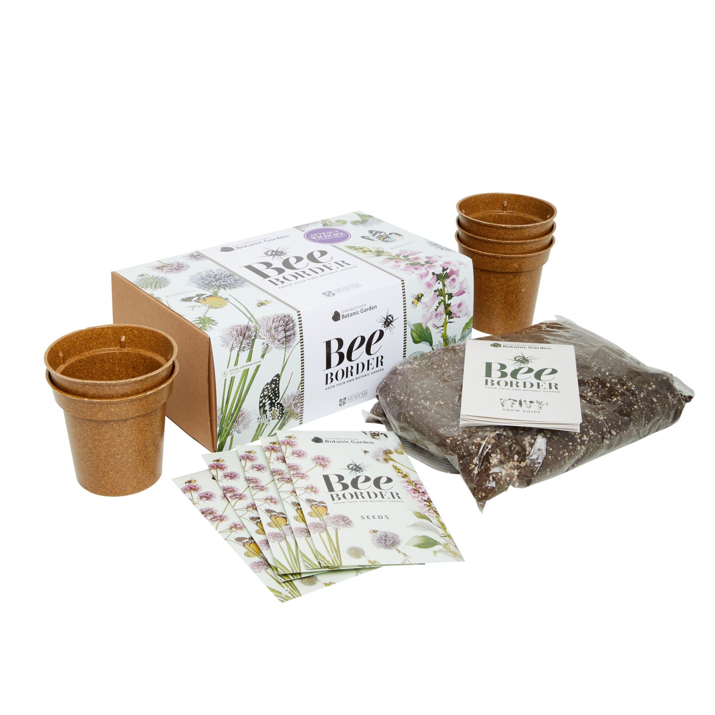 Bee Border - Seed growing kit