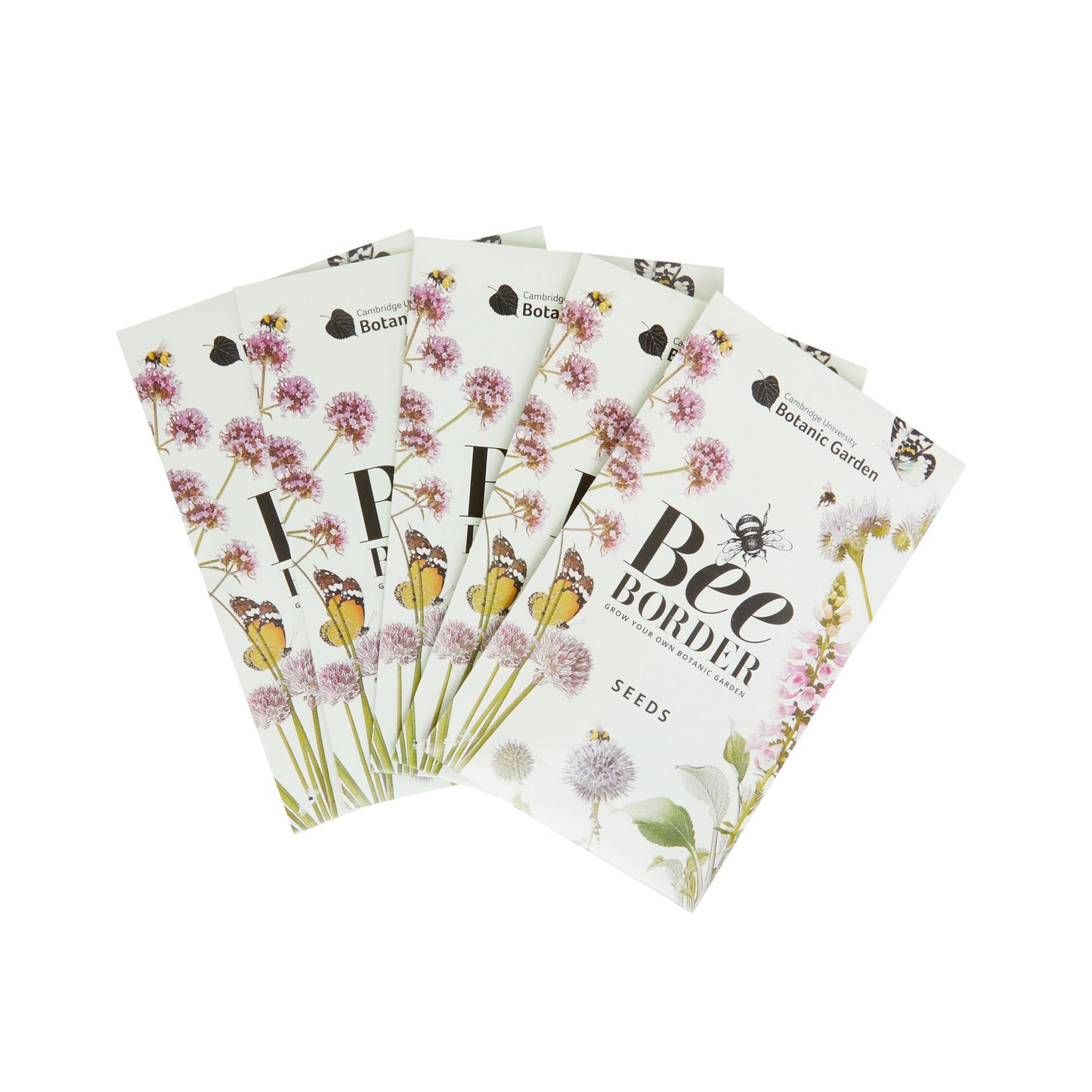 Bee Border - Seed growing kit