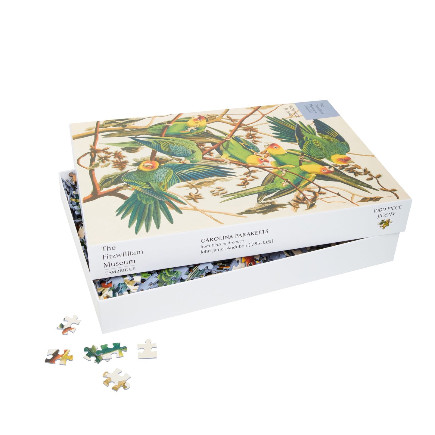 Carolina Parakeets - 1000 pc jigsaw puzzle