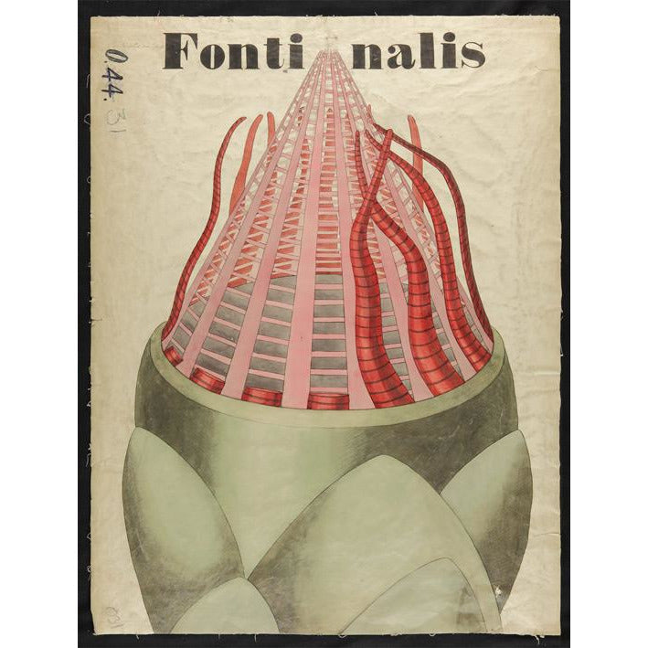 Fontinalis - teaching chart by John Stevens Henslow. From the collection of the Whipple Museum of the History of Science.