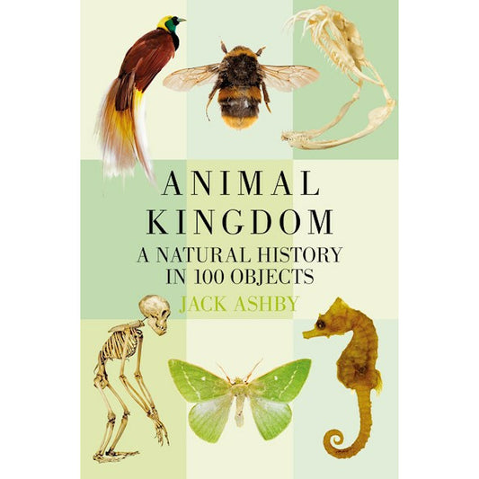 Animal Kingdom by Jack Ashby