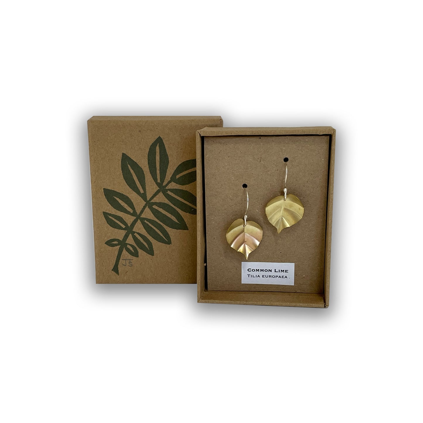 Lime tree leaf earrings in box.