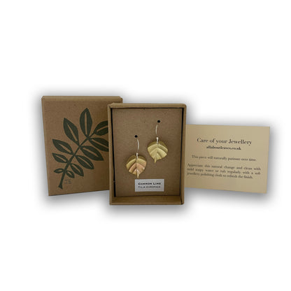 Lime tree leaf earrings in box with info card.