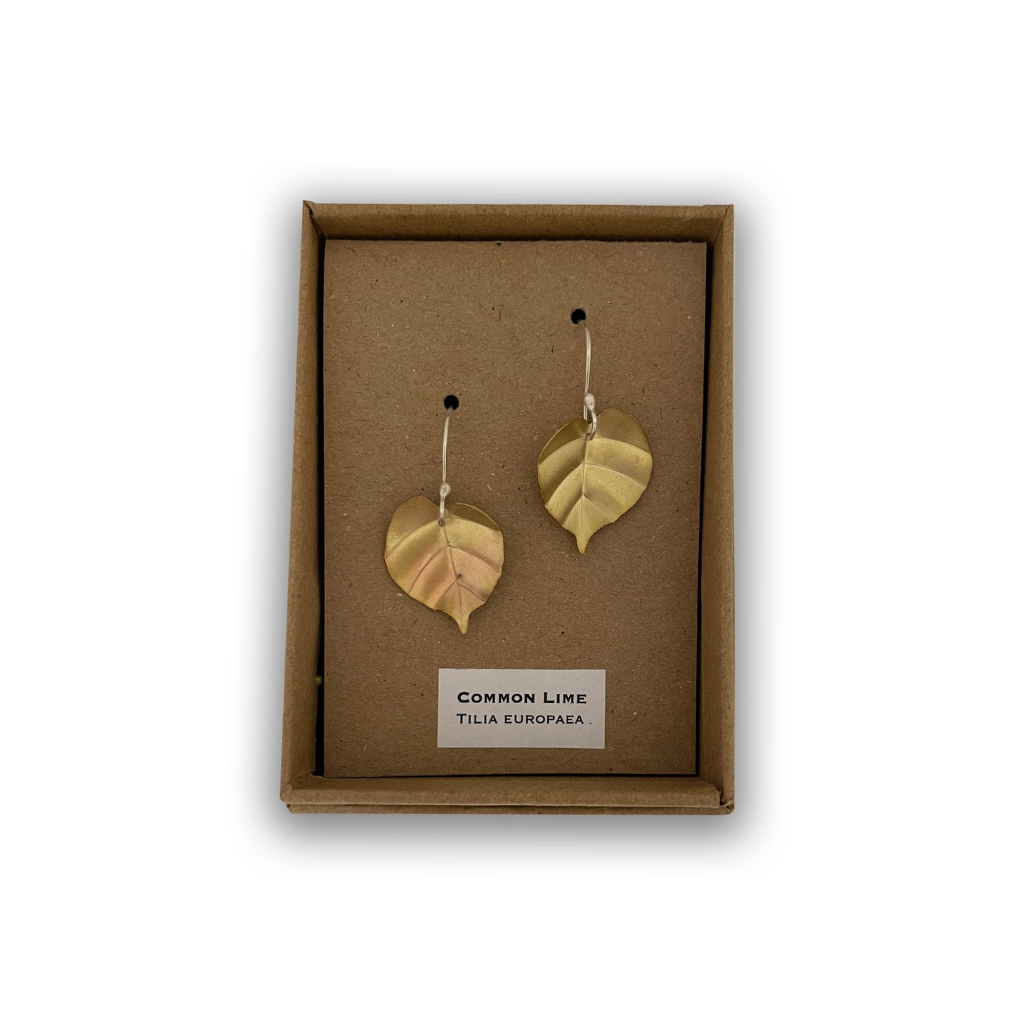 Lime tree leaf earrings in box.