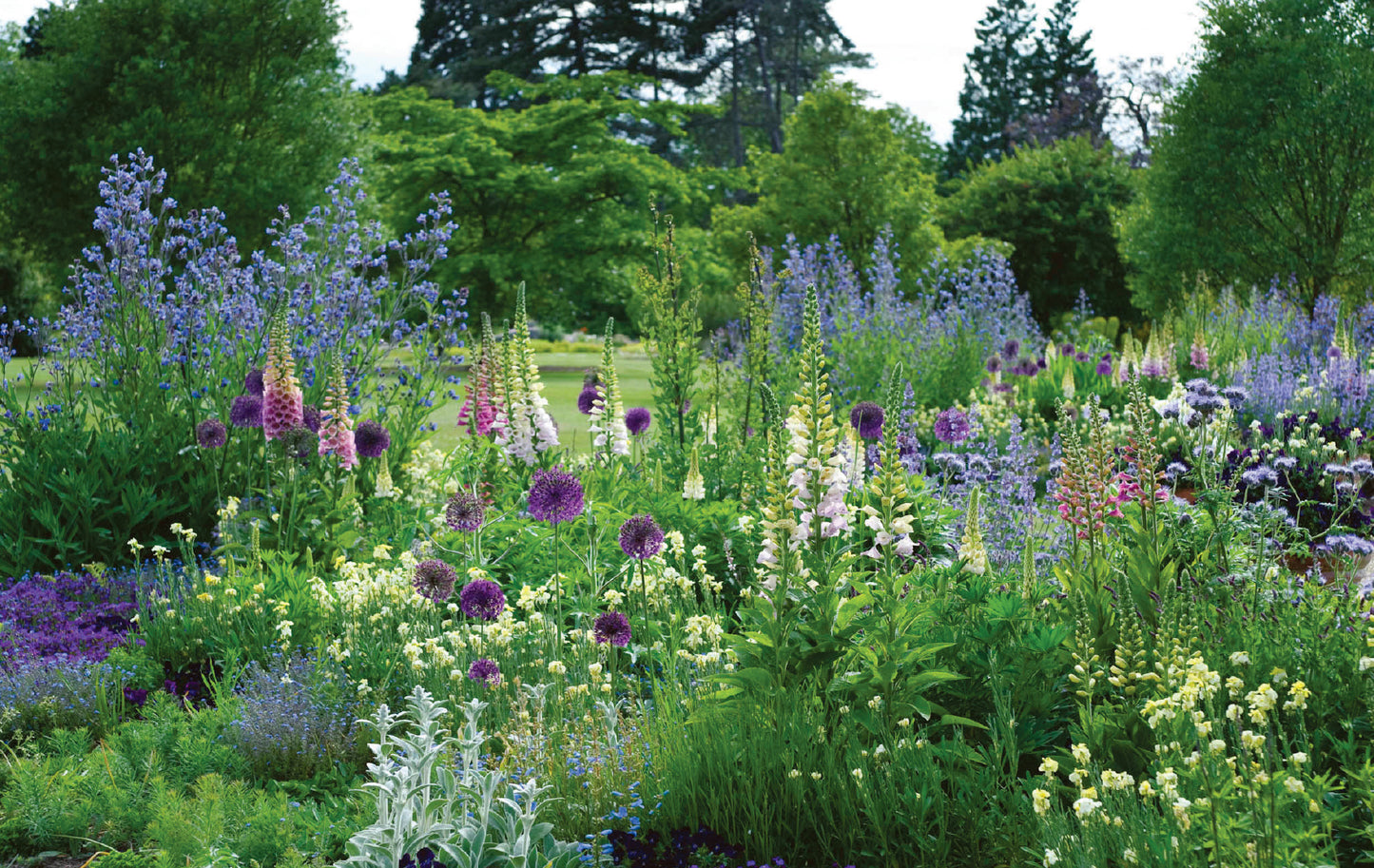 Photography from Cambridge University Botanic Gardens