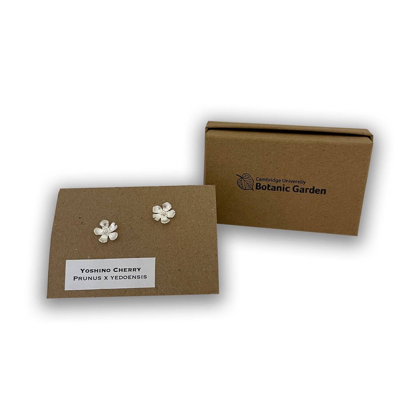 Yoshino Tree Stud earrings with box.