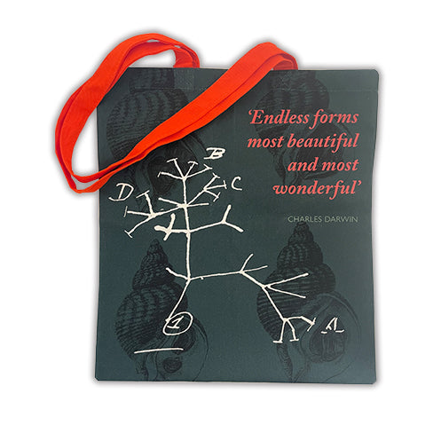 Darwin's Tree of Life - Tote bag