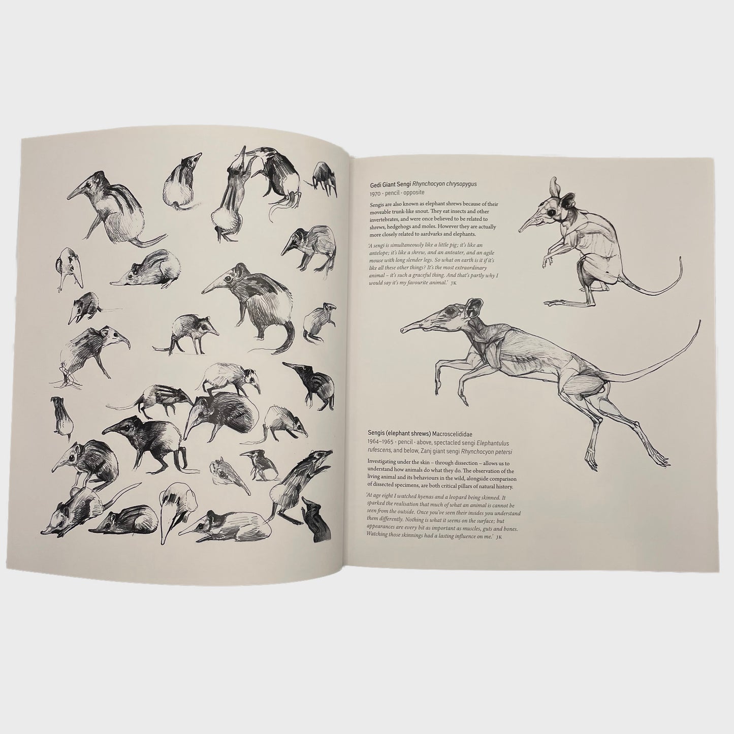 Evolution as Inspiration - Exhibition guide
