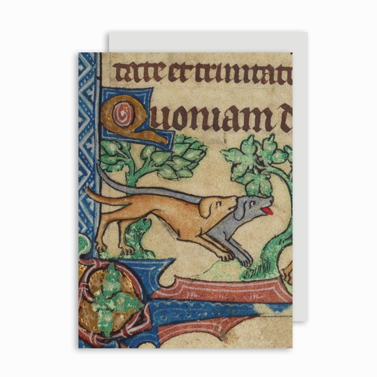 Pair of Dogs - Greeting card