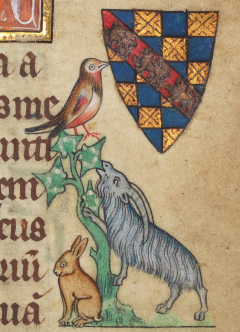 Portrait format greeting card with a goat, rabbit, and bird from an illuminated manuscript page. From the collection of The Fitzwilliam Museum.