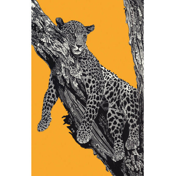 Hugh Cott's Animals - Notecard pack