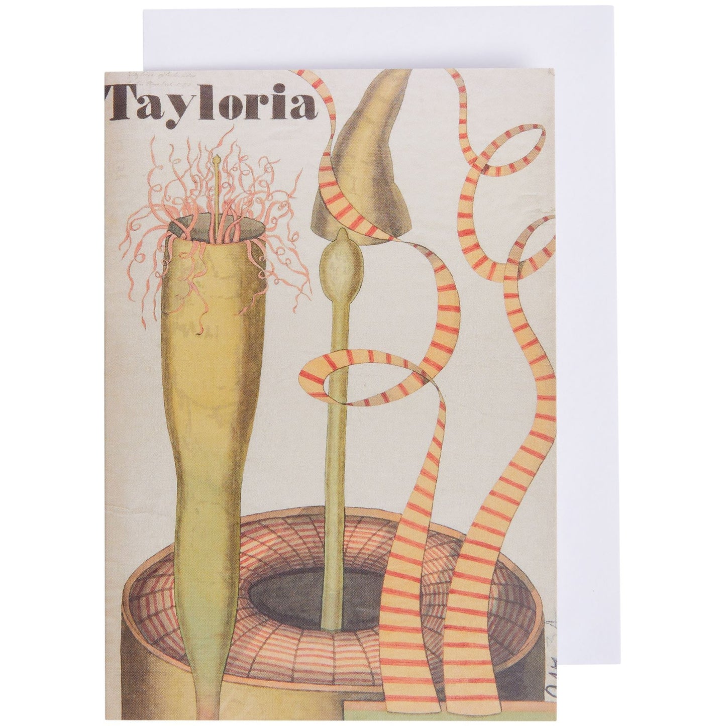 Notecard and envelope - Tayloria illustration by John Stevens Henslow. From the Whipple Museum of the History of Science, brought to you by CuratingCambridge.com