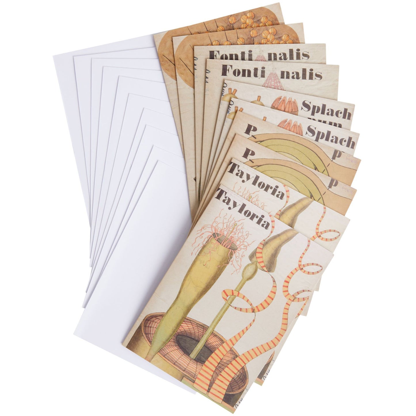 Notecards with botanical illustrations by John Stevens Henslow. From the Whipple Museum of the History of Science, brought to you by CuratingCambridge.com