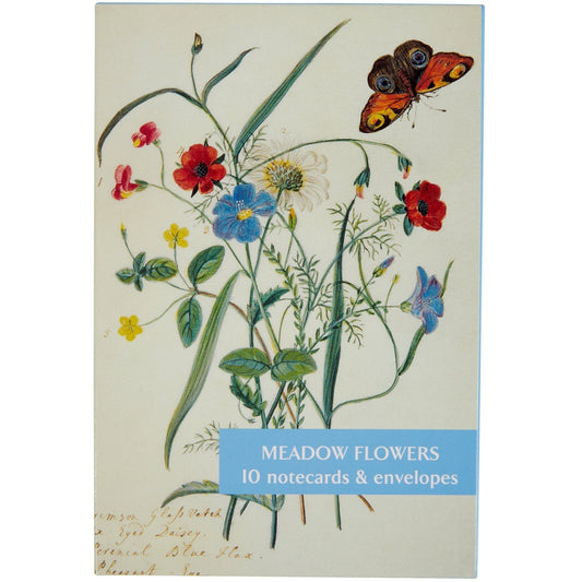 Notecard pack - Meadow Flowers. Cover image - Flowers of the Field by Mary Forbes. From the Broughton collection of the Fitzwilliam Museum, brought to you by CuratingCambridge.co.uk