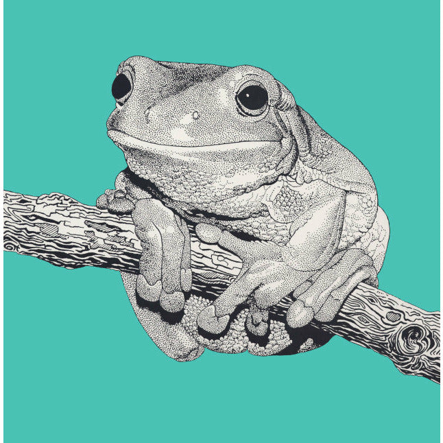 Tree Frog - Greeting Card
