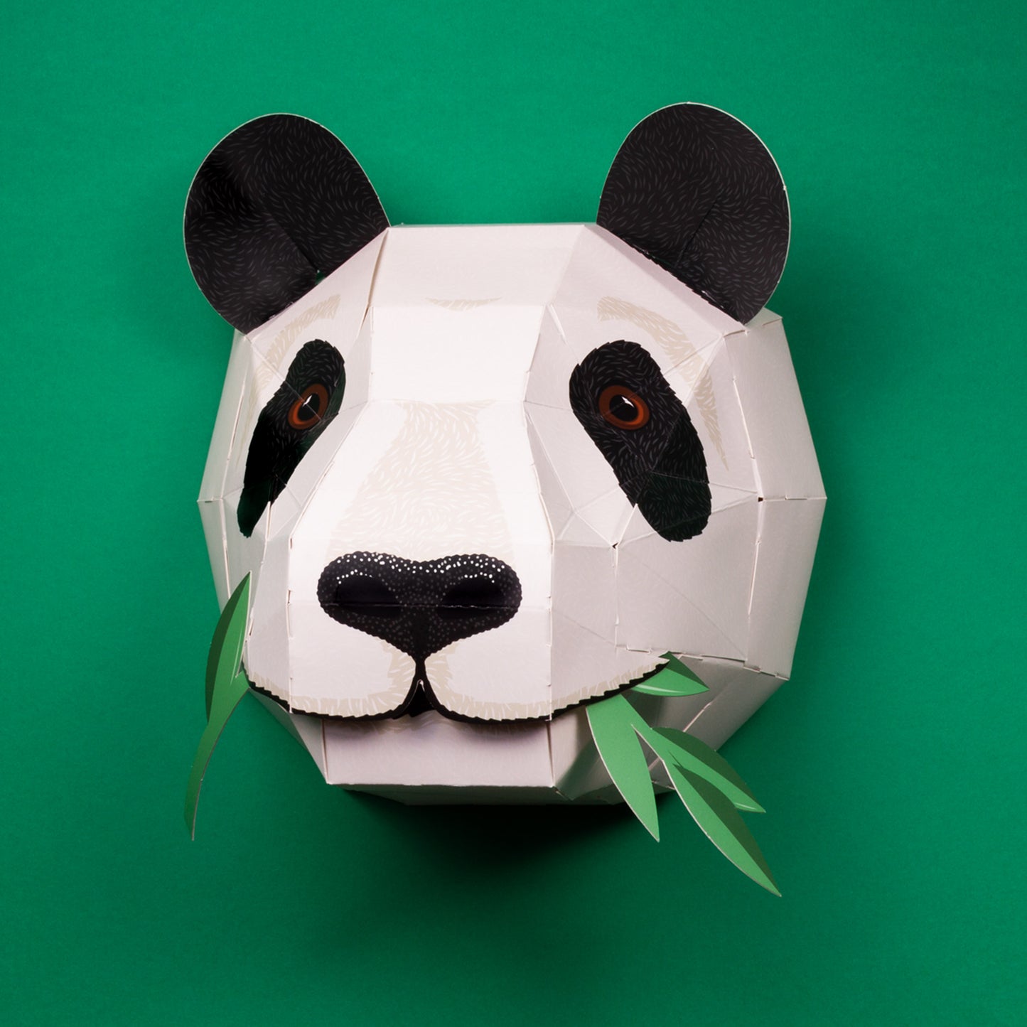 Create Your Own Giant Panda Head - Activity pack