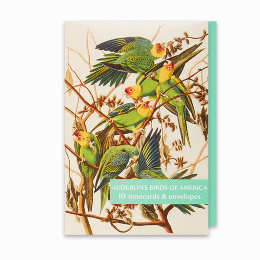 Audubon's Birds of America - Notecard pack