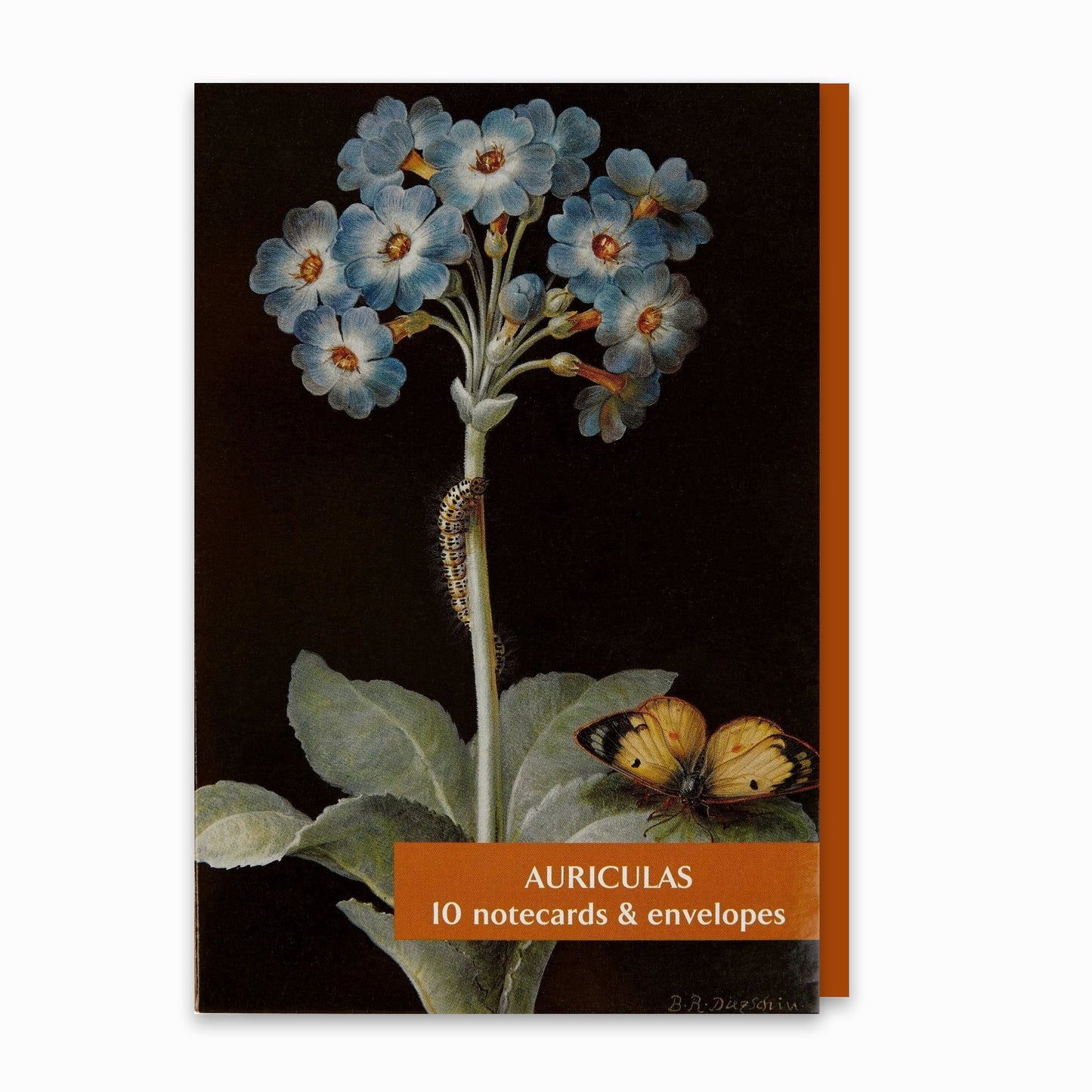 Auriculas - Notecard pack