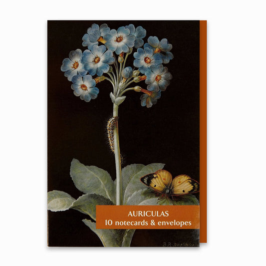Auriculas - Notecard pack