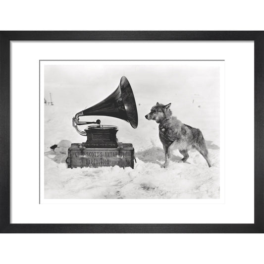 Chris and the Gramophone - Art print