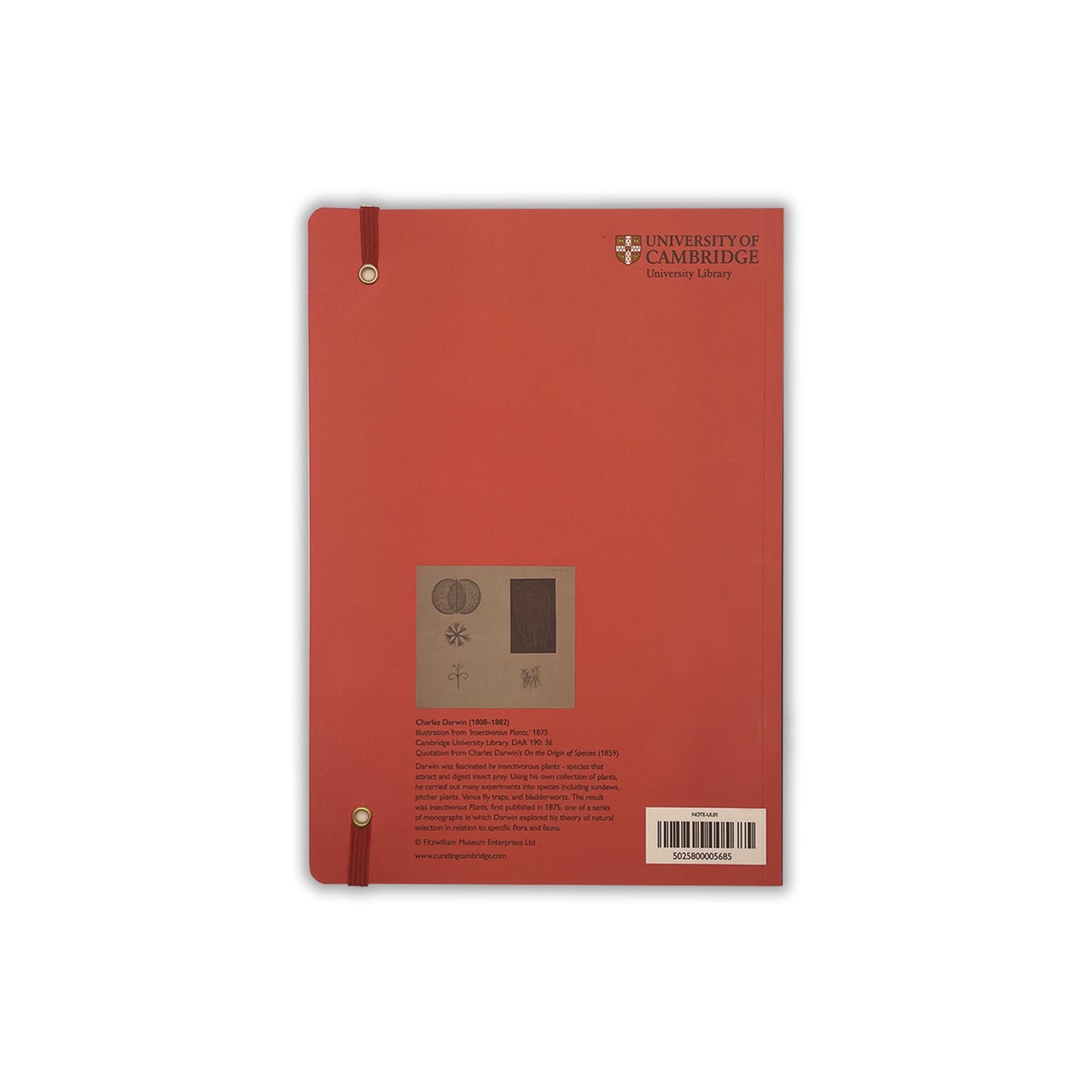 A5 journal - back cover. Coral background with Cambridge University Library logo.