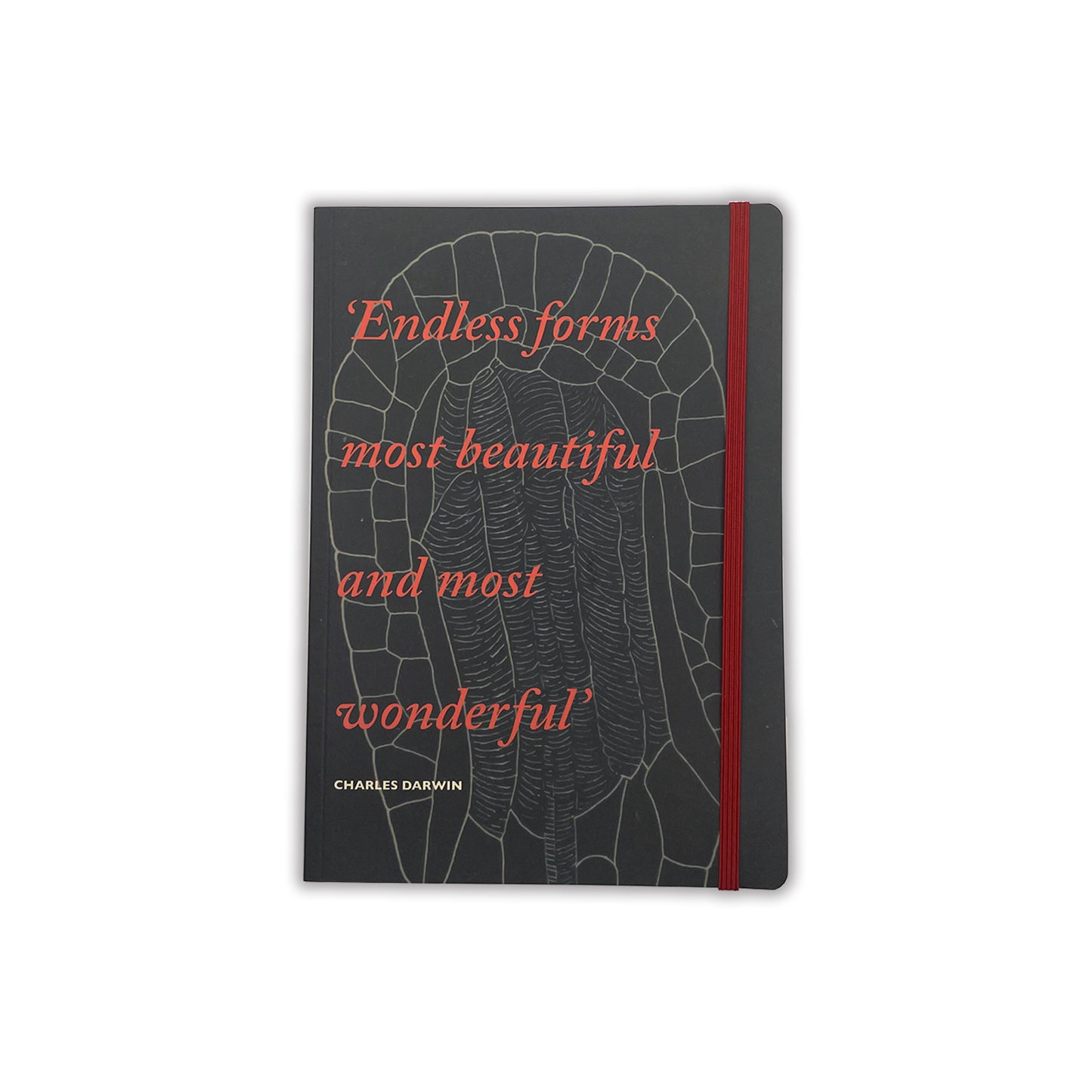 A5 journal, front cover. Dark green with quote in coral italic writing: 'Endless forms most beautiful and most wonderful.' Red elastic closure strap.